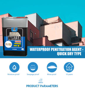 Produits hydrophobes pour ciment mural extérieur et <span class=keywords><strong>briques</strong></span> de balcon, peinture extérieure, temps de séchage rapide, scellant silicone, imprégnant - Product Image 4