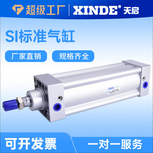 Cylindre pneumatique XINDE SISAI, corps en aluminium, non standard, résistant aux hautes températures - Product Image 4