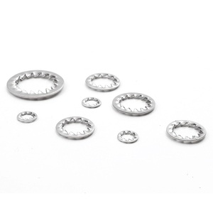 Lot de 10 rondelles de blocage à dents intérieures plates en acier inoxydable 304/acier au carbone zingué, norme DIN, M3-M5-M8-M16-M30 - Product Image 5