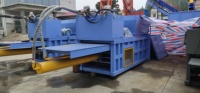 Presse à balles de plastique recyclé d'occasion Presse à balles horizontale pour carton Compacteur