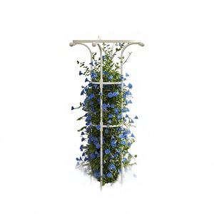 Support de treillis métallique crème avec anneau supérieur circulaire pour plantes grimpantes en pot - Product Image 6