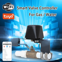 Contrôleur intelligent de sécurité domestique étanche avec commande vocale et application pour la coupure d'eau et de gaz, avec minuterie pour cuisine, jardin et ferme