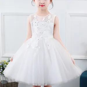 2020 New Design Kids Clothing Daily Tutu DressとFloral Embroidery Wholesale Kids Girls Pink Mini Cute Casual Gift Chiffon