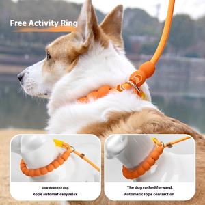 रंगीन विलासिता सरल व्यक्तिगत नायलॉन कुत्ता कॉलर बुलबुला पकड़ परावर्तक मध्यम बड़े कुत्ते ठोस पैटर्न कुत्ते छलांग - Product Image 2