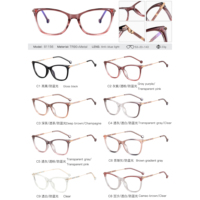 MS 81156 2024 Nuevas Gafas Ópticas de Moda para Mujer, Montura Brillante de TR90+Metal con Diseño de Ojo de Gato, Anti-Luz Azul, Coloridas