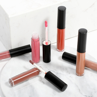 Gloss à lèvres repulpant longue tenue OEM, 6 couleurs, hydratant, haute pigmentation, brillant, non collant, lèvres lisses, maquillage des lèvres