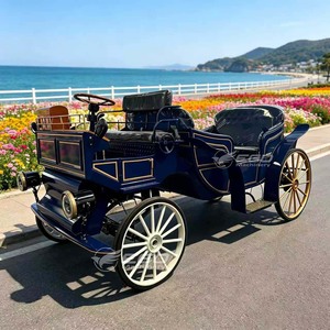 Factory direct hair dark blue two-row sightseeing carriage European style electric carriage special transportation - Product Image 1