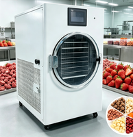 Goedkope energiezuinige kleine vriesdroogmachine voor gebruik in kleine voedselproductiewerkplaatsen Kleine vriesdroogmachine