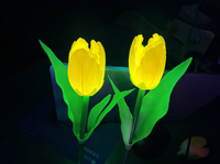 Lampu LED RGB Bunga Taman Plastik Tahan Air IP65 Panjang 70cm Natal Ra80 2700K