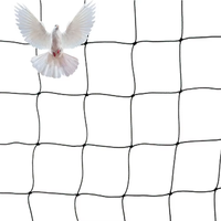 Filet anti-oiseaux agricole robuste filet anti-oiseaux pour jardin raisin filet antiparasitaire pour oiseaux pigeons