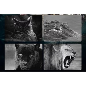 2025 Wholesale 1080P Hunting 12MP Infrared Hunt Night Vision Wildlife Photo Trap Hunting <strong>Trail</strong> Photo <strong>Camera</strong> Field <strong>Camera</strong> - Product Image 5