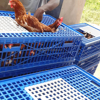 Panier de transport pour volailles de type personnalisé QA, panier pour poulets, canards, pigeons, lapins, cage à volailles, caisses de transport pour volailles