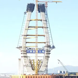 Système de coffrage auto-grimpant hydraulique de coffrage concret en acier de la Chine pour la construction semblable à DOKA