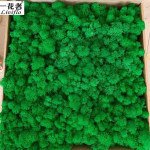 มอสส์ธรรมชาติสำหรับตกแต่ง,แผ่นมอสส์รักษาความเสถียรของดอกไม้สำหรับตกแต่งโรงงานผลิต - Product Image 4