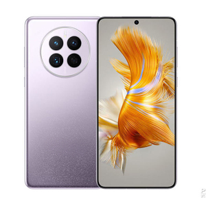 Warwick Companion 50 Teléfono móvil Android profesional con Harmony OS OLED 120Hz Pantalla 5000mAh Batería 120W Carga rápida - Product Image 4