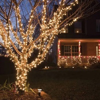 Outdoor wasserdicht 50ct 70ct 100ct LED Weihnachts beleuchtung 5mm Weitwinkel Mini String Licht für Weihnachts baum Urlaub Dekoration