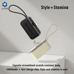 Lito LP10 22.5w Charge rapide Portable Slim Mini Power Bank 10000mah pour téléphone portable avec câble - Product Image 3