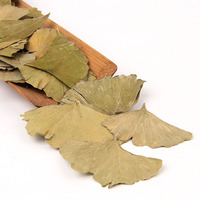 Teh Tradisional Cina Baru Harga Terjangkau Herbal Alami Daun Ginkgo Kering Ekstrak Sehat Daun Herbal