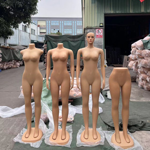Maniquí Femenino <span class=keywords><strong>de</strong></span> <span class=keywords><strong>Cuerpo</strong></span> <span class=keywords><strong>Completo</strong></span> con Cabeza para BBL - Product Image 1