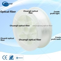 Lampe à fibre optique LED en aluminium Xinchuangli CL-750, diamètre 0,75 mm, indice de protection IP66, intensité variable, 220 V, guide de lumière ciel étoilé pour voiture