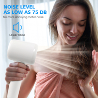 Sèche-cheveux ionique professionnel haute vitesse 1600W avec diffuseur pour hôtel et voyage