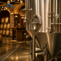 Cuve de Fermentation Conique en Acier Inoxydable Tonsen 2000L-50000L avec Enveloppe Chauffante et Garantie de 5 Ans