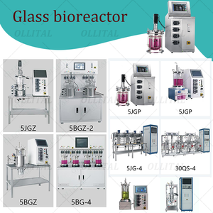 Hot Sale <strong>Fermentation</strong> <strong>Bioreactor</strong> Glass Reactor Biological Reaction Device with Peristaltic Pump - Product Image 6