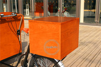 Bicicleta de Café Clásica de 3 Ruedas con Tanque de Agua, Caja de Dinero, Triciclo Eléctrico, Carrito de Comida Móvil en Venta