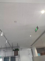 Plaque de plâtre acoustique perforée anti-humidité 2400*1200mm avec trous réguliers, dalles de plafond pour la décoration intérieure