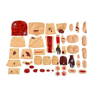หุ่นจำลองการบาดเจ็บ ZHIZAO 43 ชิ้นส่วน รุ่นขั้นสูง ทำจาก PVC/พลาสติก สำหรับการฝึกอบรมทางการแพทย์เพื่อการประเมินการบาดเจ็บทางพยาบาล - Product Image 1