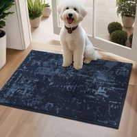 Tapis tuftés multicolores avancés absorbants antidérapants paillassons de bienvenue tapis de porte d'intérieur lavables