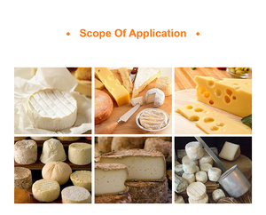 Tanque de fermentación láctea de acero inoxidable Máquinas de procesamiento lácteo <span class=keywords><strong>Mozzarella</strong></span> 300L/500L Máquina para hacer queso - Product Image 3