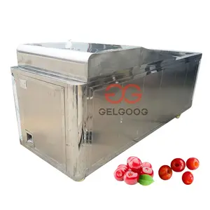 Hot Koop Plum Kernel Steen Extraheren Extractor Zaad Cores Verwijderen Machine Nucleaire Deseeding Dateert Pitter Pitting Machine