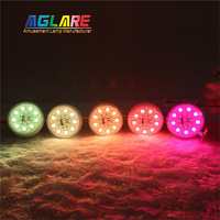 Aglare 45mm Lumière LED de Carnaval, Éclairage pour Manèges de Fête Foraine et de Parc d'Attractions