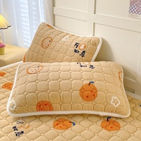 2025 hiver imprimé fruits lit matelas non tissé velours matelassé coussin pour usage domestique pour le commerce extérieur lait chaud vent couverture protecteur