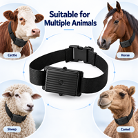 Traceur GPS multi-bandes Animal4G BDS pour bétail, bovins, moutons, chevaux, chameaux, étanche IP67, API, OEM ODM, application gratuite, géolocalisation, lecture des trajets