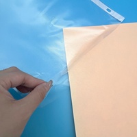 Protecteur de feuilles de papier plastique avec logo personnalisé A4 Classeur avec trous de poinçonnage Fournitures de bureau Pochette à documents