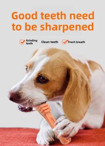 OEM ODM Bâtonnet à mâcher pour chien, brosses à dents et bâtonnets molaires, saveur bœuf, pour le nettoyage dentaire, l'entraînement, la santé intestinale et la prévention du tartre et de la plaque dentaire - Product Image 3