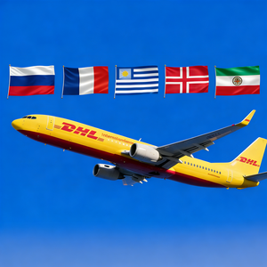 Servizio di Spedizione Professionale Consegna Porta a Porta in <span class=keywords><strong>Russia</strong></span>/Francia/Uruguay/Danimarca/Messico Trasporto Aereo - Product Image 1
