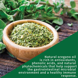 Produsen di Stok minyak <span class=keywords><strong>Oregano</strong></span> meningkatkan minyak kekebalan dari <span class=keywords><strong>Oregano</strong></span> meningkatkan kesehatan <span class=keywords><strong>Oregano</strong></span> kapsul minyak - Product Image 5