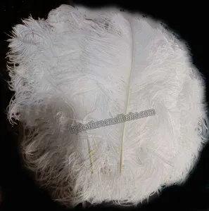 Penas de avestruz brancas tingidas para decoração de casamento, plumas de melhor qualidade para festas e festas, 65-70 cm, venda imperdível