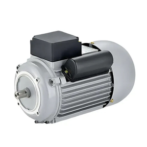 Motor Eléctrico Monofásico de Inducción de Alta Resistencia YC de 0.55kw con Arranque por Condensador de la Mejor Calidad - Product Image 1