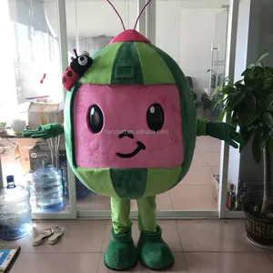 Customized Adult Cartoon Mascot Costumes Theme Christmas Party Watermelon Shape Performance Props Character Cartoon Costumes