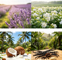 Huile de thé blanc pure, huile essentielle pure à 100 %, distillée à la vapeur, aromathérapie fraîche pour la maison, parfum d'ambiance, fabrication de savons et de bougies