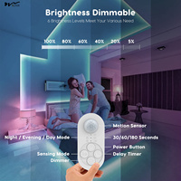 Double bande lumineuse de détecteur de mouvement pour l'intérieur Lampe d'escalier à LED enfichable avec double détecteur de mouvement Corps de lampe PCB