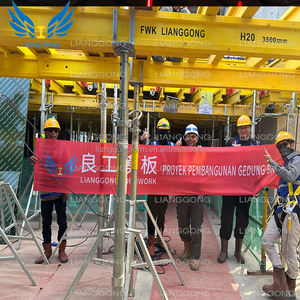 Lianggong Modernes Design Stahl-Holzbalken-Deckenformwerk für Betonbau mit Gerüststütze Made in China - Product Image 2