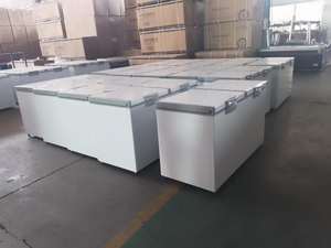 Refrigerador comercial de doble puerta, congeladores de exhibición profunda de helados horizontales, 400L-800L,-20 grados, en venta - Product Image 4