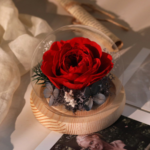 Elegante Peonía Eterna en Cúpula de Cristal, Flores Naturales Preservadas, Regalo para el Día de la Madre, Decoración para el Hogar y Fiestas - Product Image 3