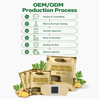 Patch Chauffant Adhésif à Base de Plantes pour la Prostate, Qualité Export, Technologie de Chaleur par Oxydation, Mélange Herbal Naturel, Soin Chaleur Nocturne, Échantillon Disponible