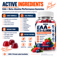 Gummies à croquer pratiques à base de Bêta-Alanine EAA pour la préparation avant l'entraînement et le soutien sportif en déplacement – Sourcing en gros de suppléments OEM